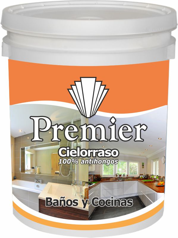 CIELO RASO X 10 L.